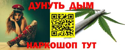 сатива Краснознаменск