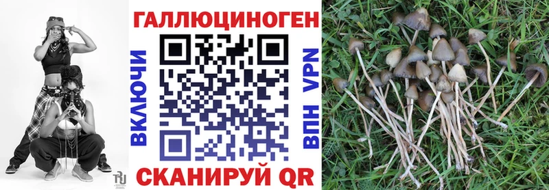 Псилоцибиновые грибы мицелий  наркота  Еманжелинск 
